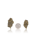 Budget Flower