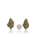 Premium Flower
