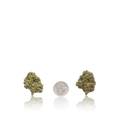 Bulk Budget