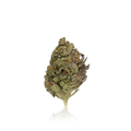 Budget Flower