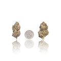 Premium Flower