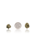 Bulk Exotic Smalls