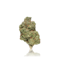 Premium Flower