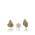 Premium Flower
