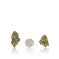 Bulk Budget