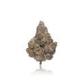 Exotic Flower