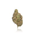 Premium Flower