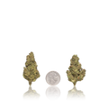Budget Flower