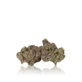 Exotic Flower