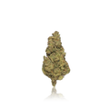 Budget Flower