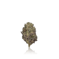 Xotic Flavorz Flower