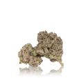 Exotic Flower