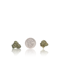Exotic Smalls