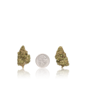 Budget Flower