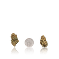 Bulk Budget