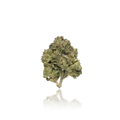 Budget Flower