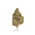 Budget Flower