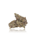Exotic Flower