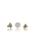 Premium Smalls