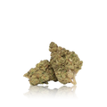 Budget Flower