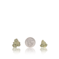 Premium Smalls