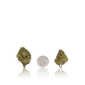 Budget Flower