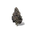Exotic Flower