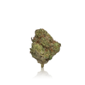 Xotic Flavorz Flower