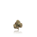 Premium Indoor Flower