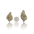 Premium Flower