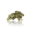 Budget Flower