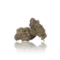 Exotic Flower