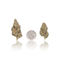 Premium Flower