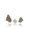 Value Flower