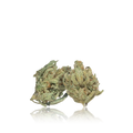Premium Smalls