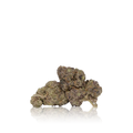Exotic Flower