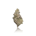 Premium Flower