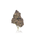 Value Flower