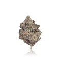 Exotic Flower