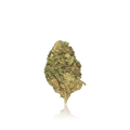 Budget Flower