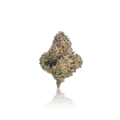 Premium Flower