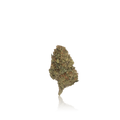 Budget Flower