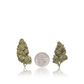 Value Flower