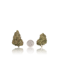 Bulk Budget