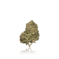 Bulk Budget