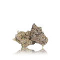 Exotic Flower