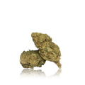 Budget Flower