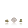 Bulk Premium Smalls