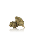 Budget Flower