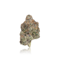 Exotic Flower
